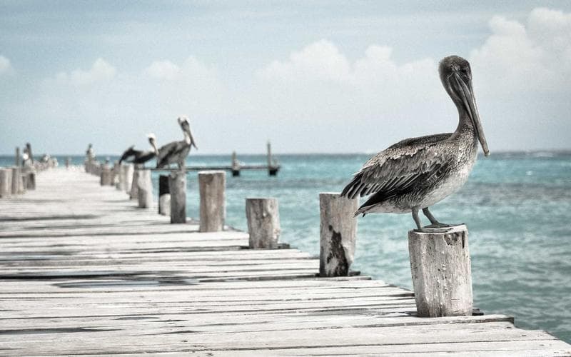 Website Doanh nghiệp Xây dựng