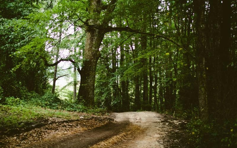 Website Bán hàng Công nghệ